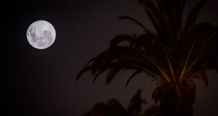 Luna de Nieve: qué es y cuando ver el fenómeno de la luna llena