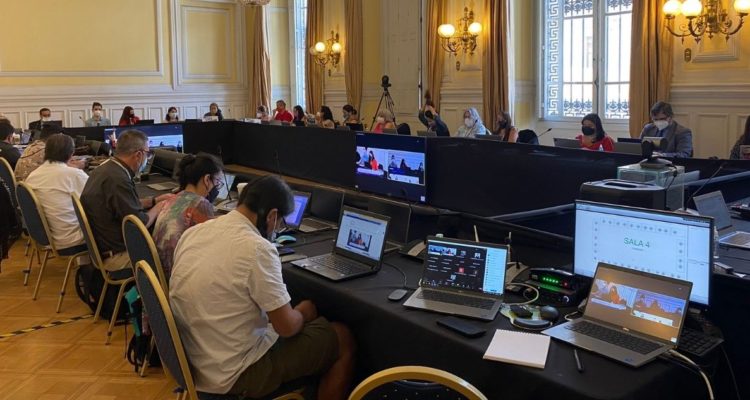 nacionalización bienes naturales