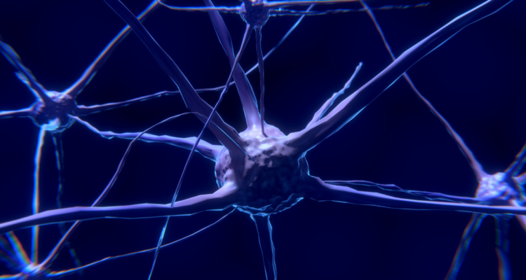 neurona-epilepsia-crisis