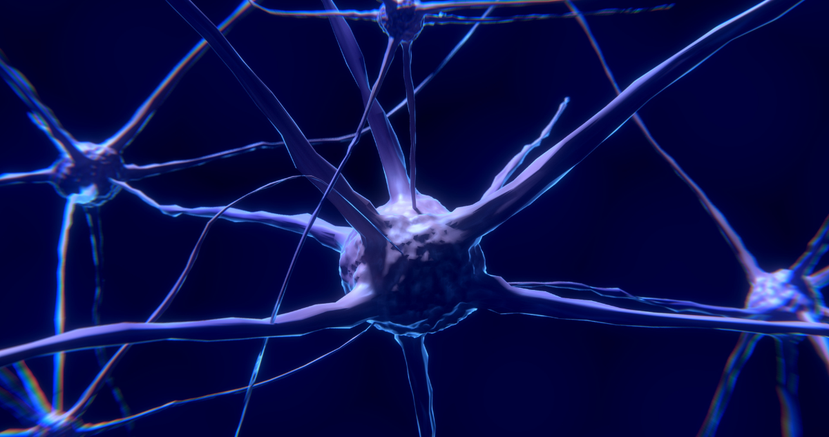 neurona-epilepsia-crisis