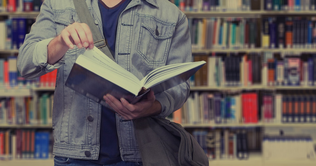 novatos de la educación superior