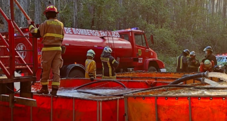 Incendio forestal afecta a la comuna de Paillaco 25 mil hectáreas han sido afectadas