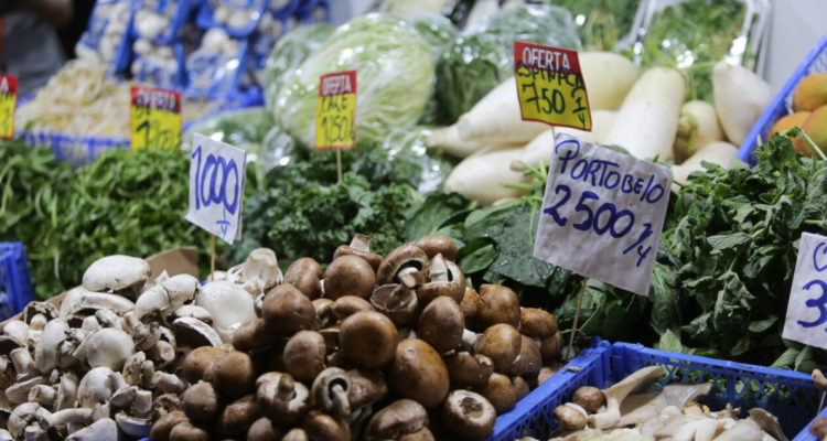 economistas-recomendacioens-empresas