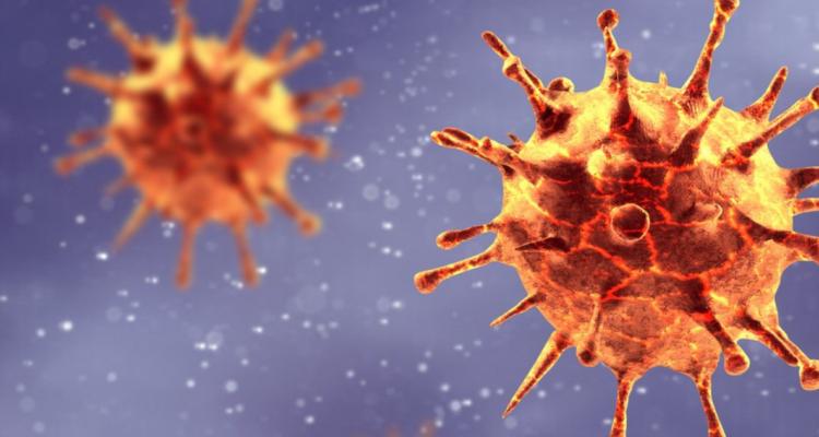 El hallazgo es de científicos españoles