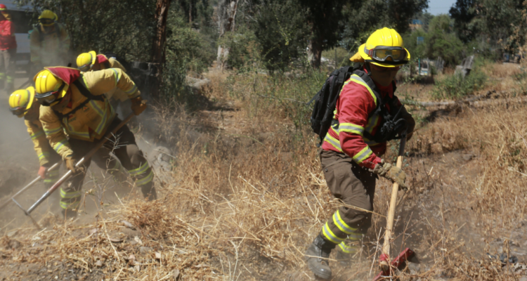 Se reportan 118 incendios forestales a nivel nacional