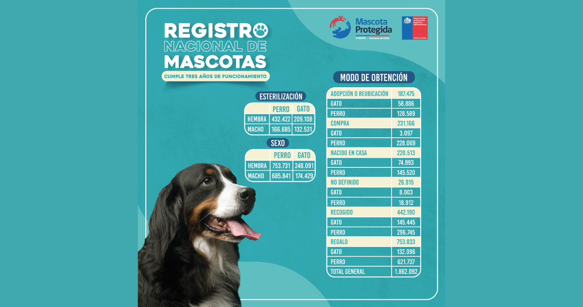 Registro Nacional de Mascotas, adopción de perros y gatos