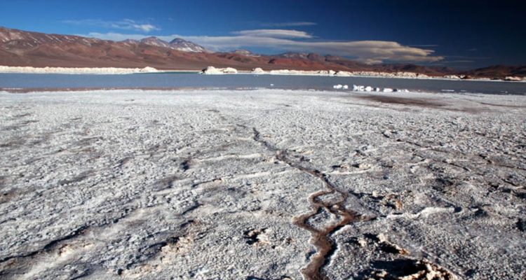 Codelco inciará trabajos en salar de maricunga
