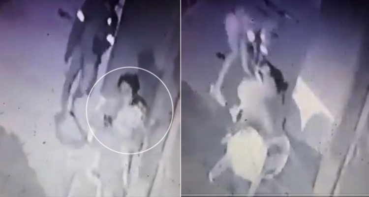 Abuela impide secuestro