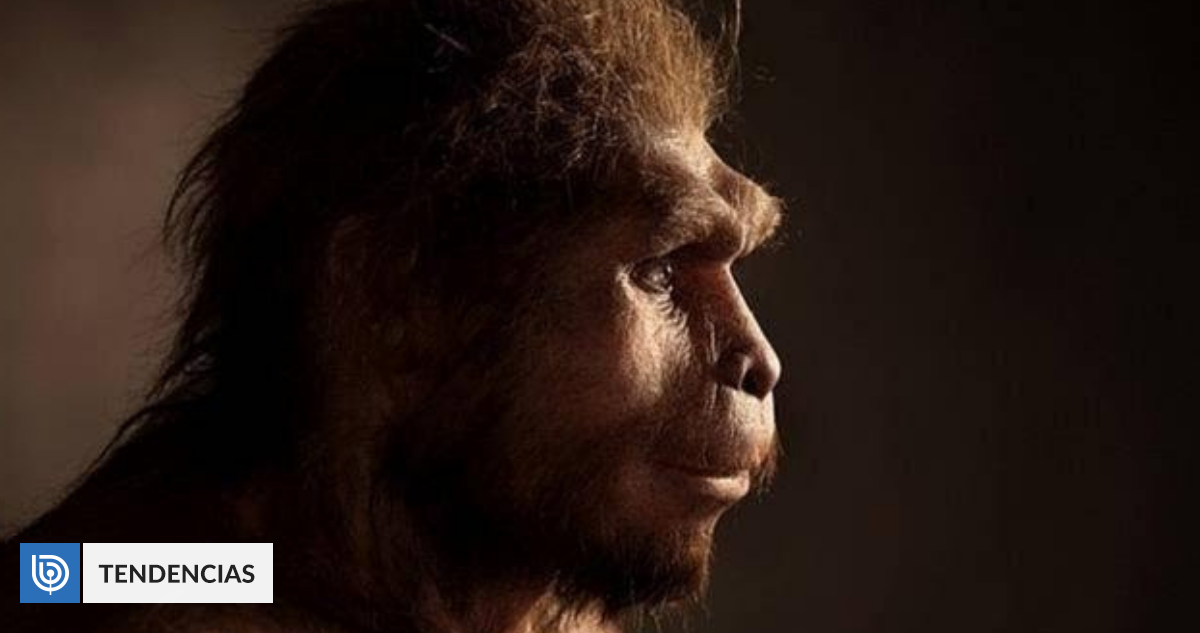 Selon une étude d’Homo Sapiens, il est arrivé en Europe 10 000 ans plus tôt que prévu initialement  La technologie