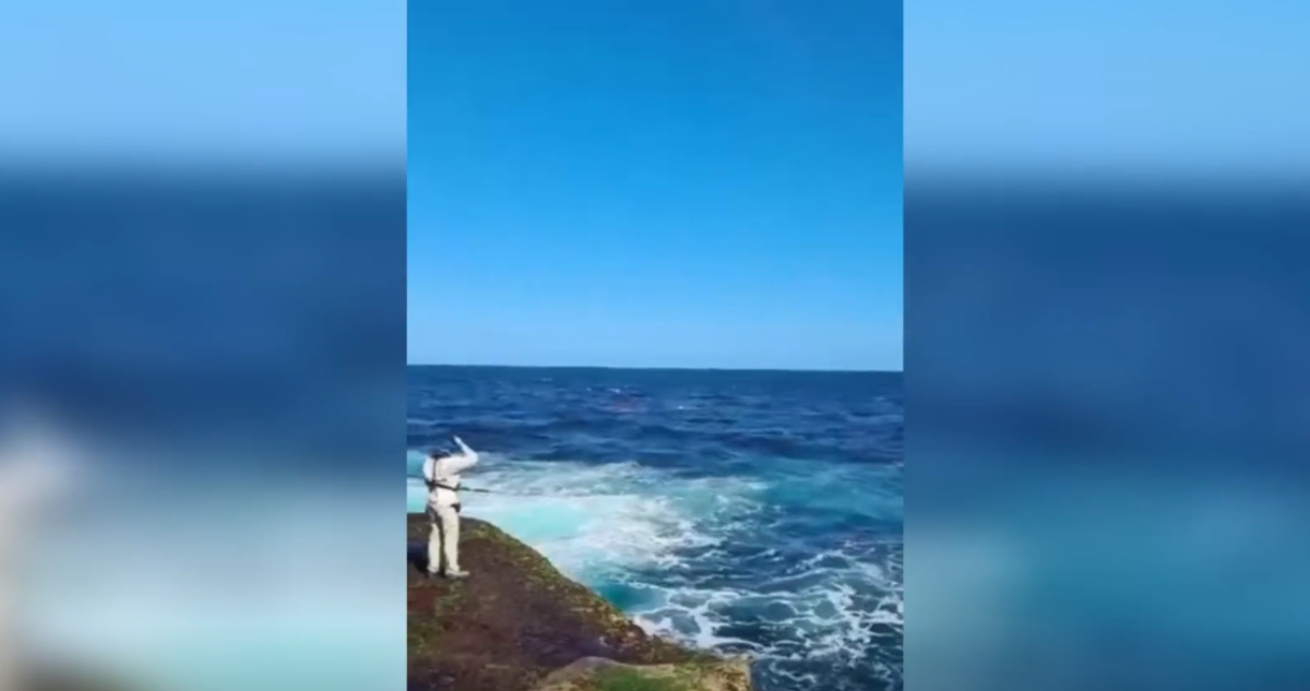 Pescador testigo del momento en que tiburón devoró a hombre en playa de Australia