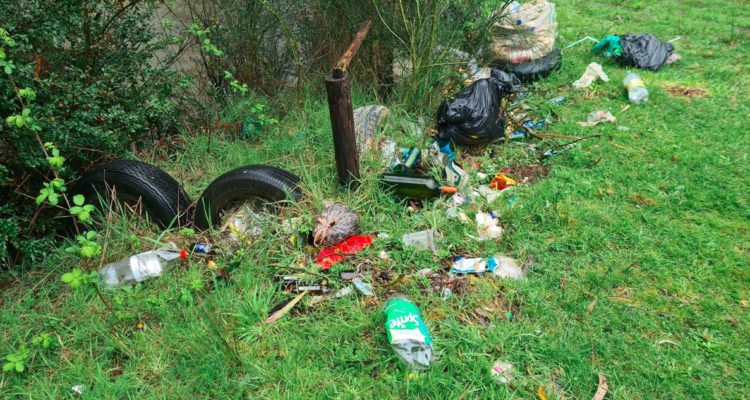 Foto del Río Santo Domingo de Valdivia, por Científicos de la Basura