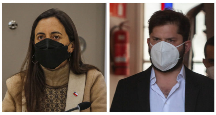 Ministra de Agricultura lamentó críticas de Boric por incendio en Timaukel: “Desconoce trabajo real”