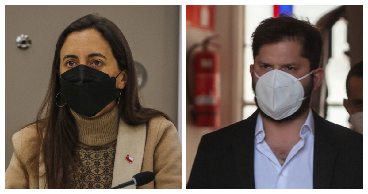 Ministra de Agricultura lamentó críticas de Boric por incendio en Timaukel: “Desconoce trabajo real”