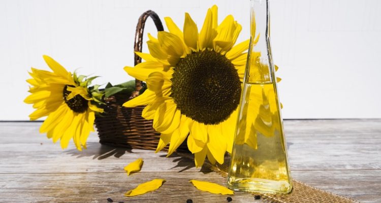 Rusia prohíbe exportación de semillas de girasol y deja complicado a mercado mundial del aceite