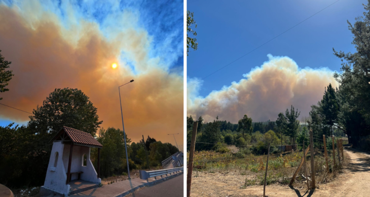 Incendios Hualqui y Florida