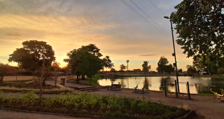 Los Ángeles y Angol no cumplen el mínimo de metro cuadrado de área verde por habitante.