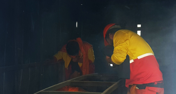 ataques incendiarios provincia Arauco