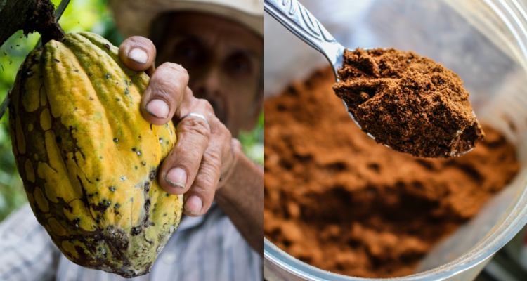 Cacao