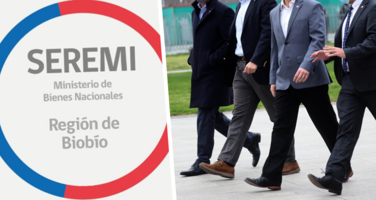 seremi bienes nacionales bío bío