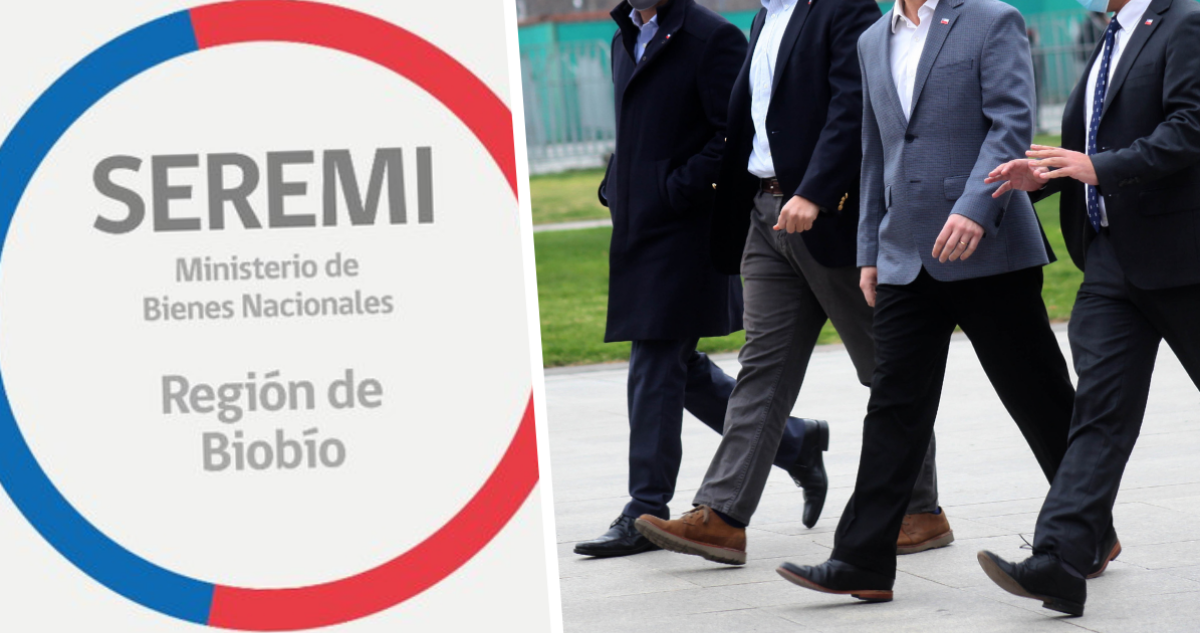 seremi bienes nacionales bío bío