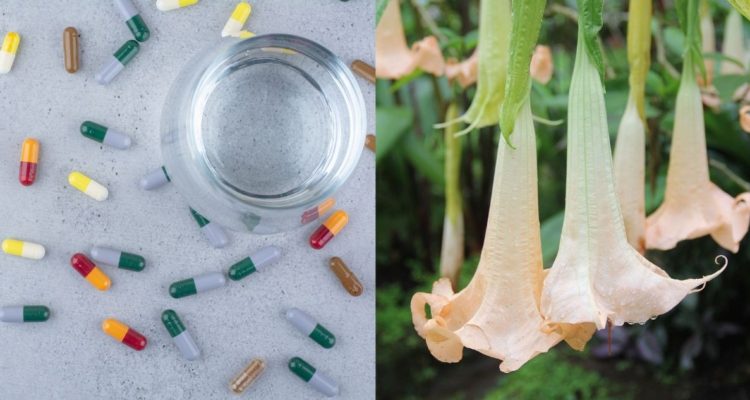 ¿Existen las drogas de contacto como la burundanga?