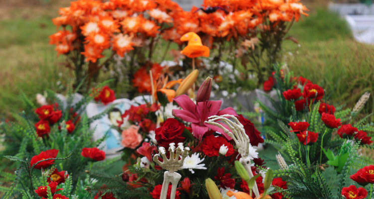 Cementerio Valparaíso.