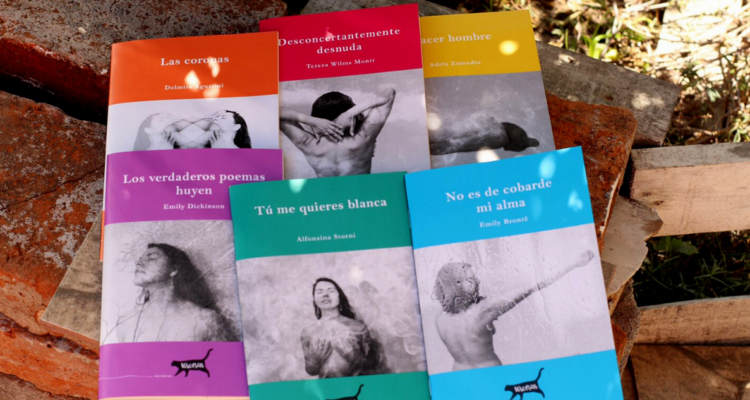 Colección de poesía