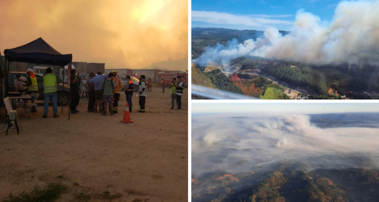 Decretan Alerta Amarilla en Ñuble por incendio en Coelemu