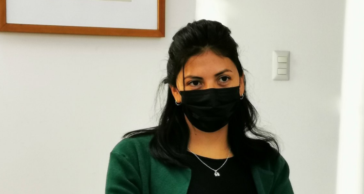 Delegada presidencial provincia del Bío Bío