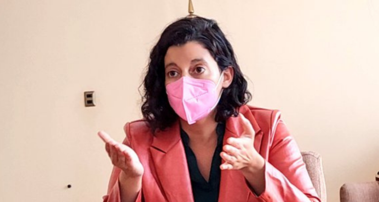 Ordenan arresto de la delegada presidencial del Bío Bío.