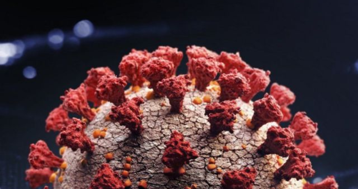 VIRUS COVID