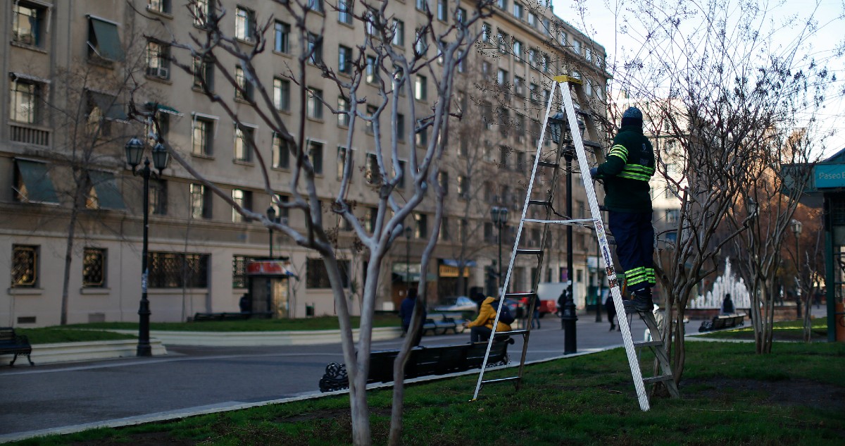Tasa de desocupación en la región Metropolitana llegó a 8,5% en el último trimestre móvil