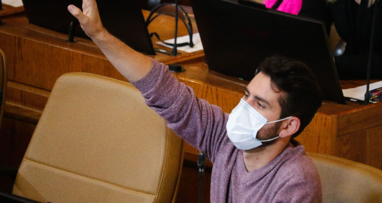 Diputado Diego Ibáñez en sesión especial de la Camara de Diputados.