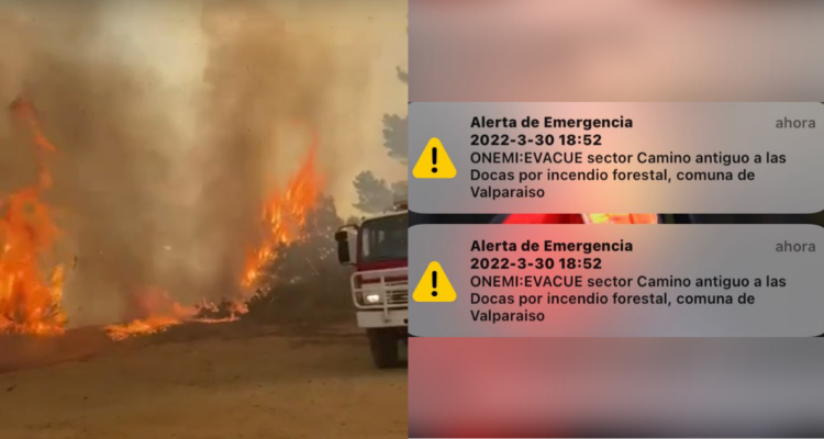Piden evacuar sectores de Laguna Verde por incendio forestal que mantiene Alerta Roja en Valparaíso