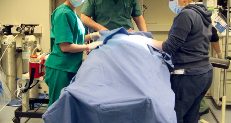 Falta de personal médico en Osorno impide instalación de hospital de campaña