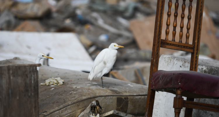 Falta de quorum impide votación planta incineradora en Lautaro