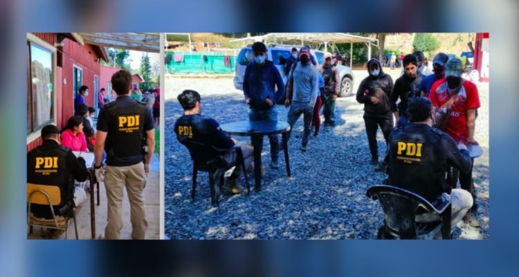 PDI sorprende a 162 extranjeros trabajando clandestinamente como temporeros en Angol