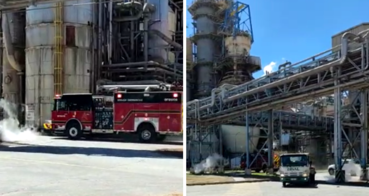 fuga planta horcones