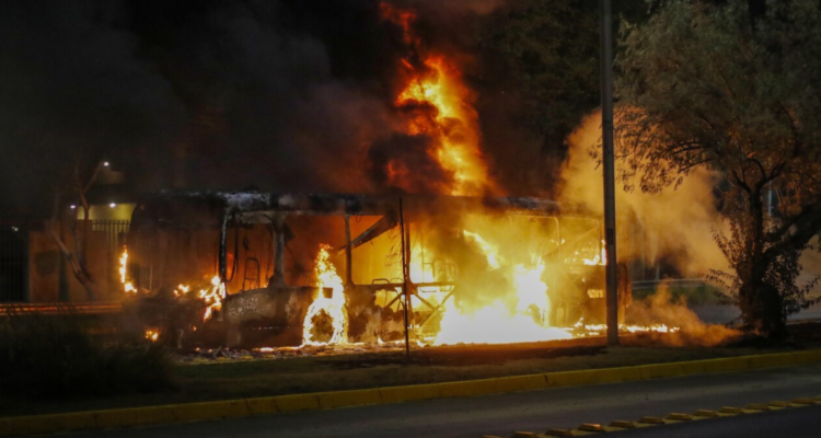 dia-joven-combatiente