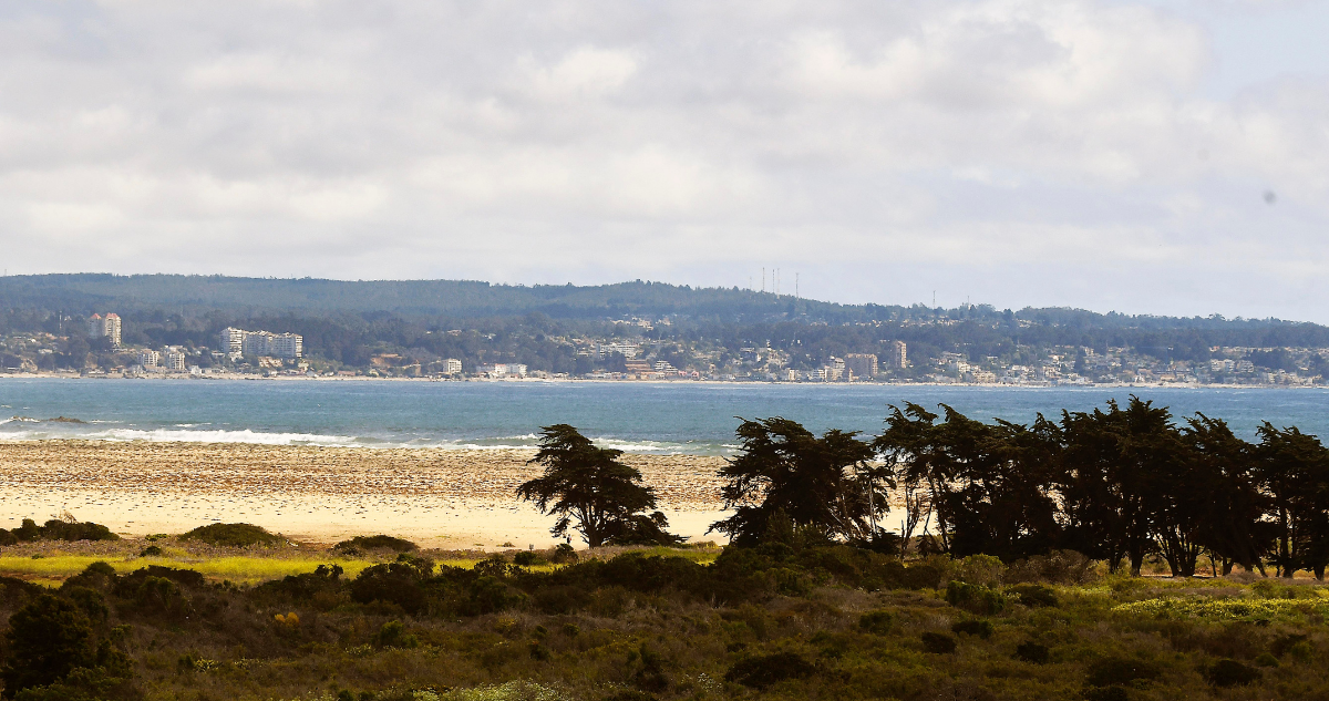 Inmobiliarias que dañarían el medio ambiente del humedal Tunquén: Rojas apoya recurso de protección