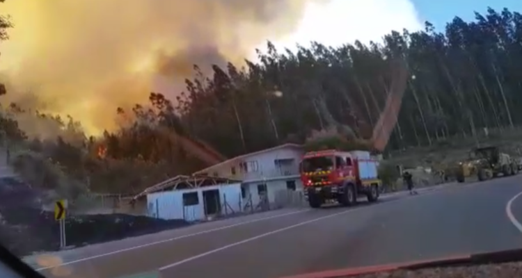 Un incendio se registra en Coelemu: viviendas aledañas se podrían ver afectadas