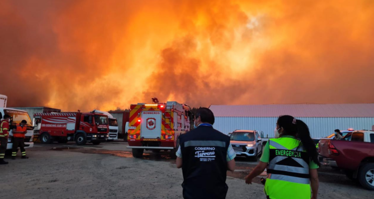 Incendio forestal en Coelemu