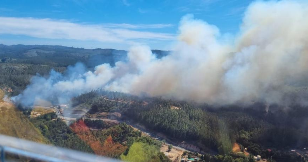Alerta Amarilla en Ñuble por incendio forestal en Coelemu