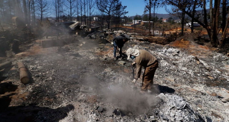 Incendio forestal en sector Laguna Verde de Valparaíso deja 29 casas afectadas por el fuego