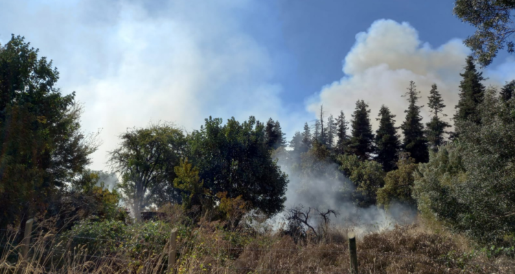 INCENDIO FORESTAL EN LOS ANGELES