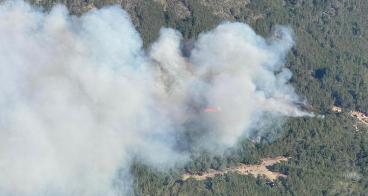 declaran alerta roja por incendio forestal en valparaíso