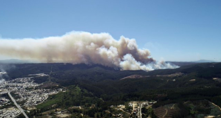 incendio forestal Penco