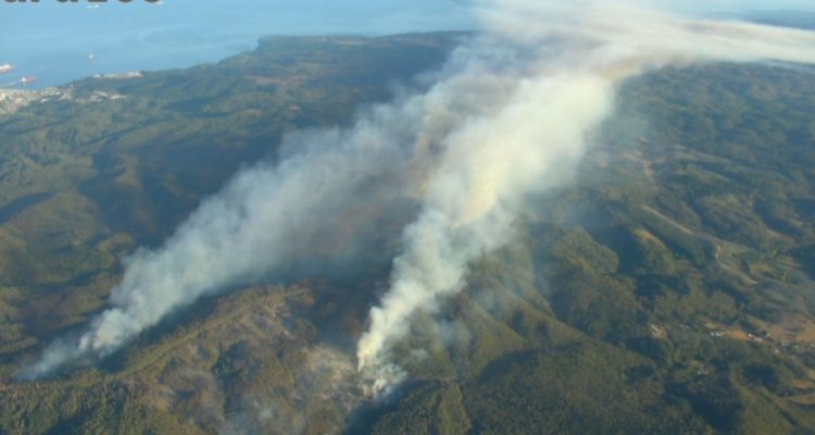 Incendio forestal en Penco