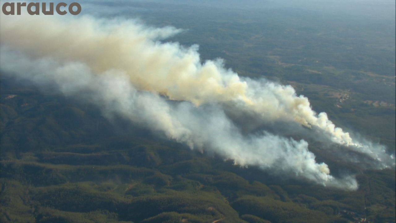Incendio forestal en Penco y Tomé