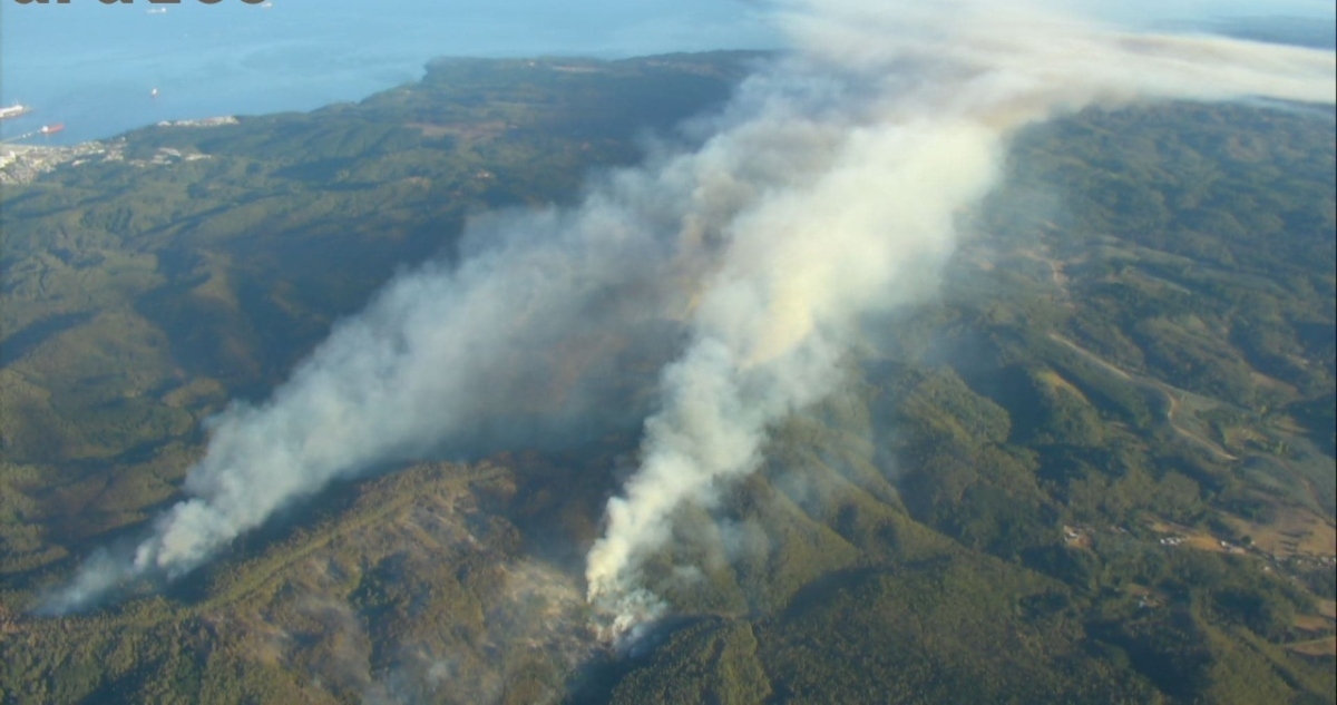 Incendio forestal en Penco